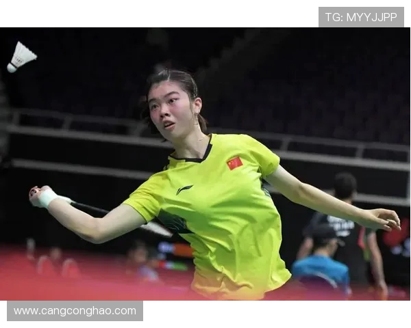 南京羽毛球队在锦标赛中的心理素质分析与表现评估